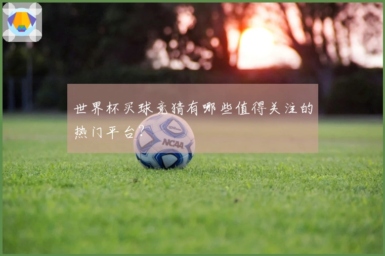 世界杯买球竞猜有哪些值得关注的热门平台？